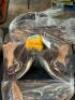WESTERN BARREL RACING SHOW HORSE SADDLE WITH TACK SET - 11