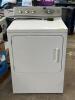 ELECTRIC DRYER