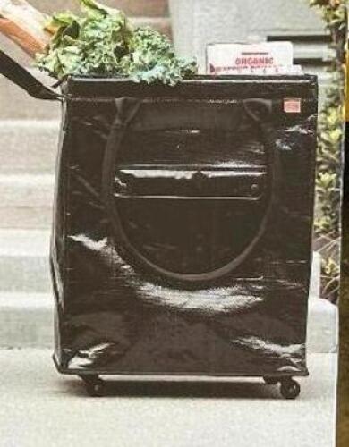 FOLDABLE TOTE BAG ON WHEELS