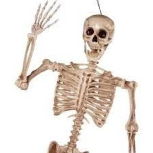 DESCRIPTION: (1) POSABLE SKELETON INFORMATION: OUTDOOR DECORATION? SIZE: 5' RETAIL$: $65.99 EA QTY: 1