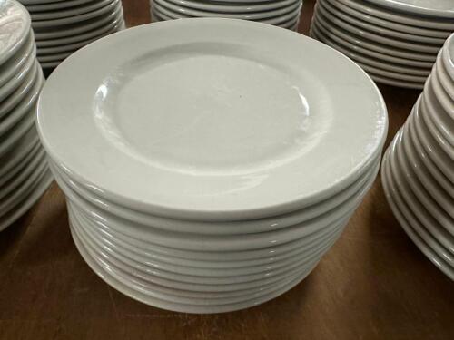 (12) 9.5" CHINA PLATES