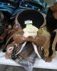 WESTERN BARREL RACING SHOW HORSE SADDLE WITH TACK SET - 10