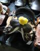 WESTERN BARREL RACING SHOW HORSE SADDLE WITH TACK SET - 12