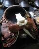 WESTERN BARREL RACING SHOW HORSE SADDLE WITH TACK SET - 8