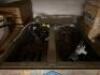 COUNTERTOP GAS GRIDDLE / BROILER COMBO - 6