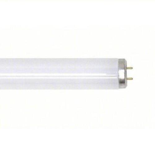DESCRIPTION: (1) BOX OF (30) LINEAR FLUORESCENT BULB BRAND/MODEL: GE LAMPS #24W596 INFORMATION: T12, 34 W WATT, 4100K, 2,500 LM LIGHT OUTPUT SIZE: 4 F