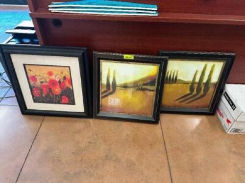 (3) 20" FRAMED NATURE PRINTES