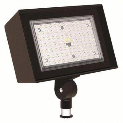 (1) FLOOD LIGHT