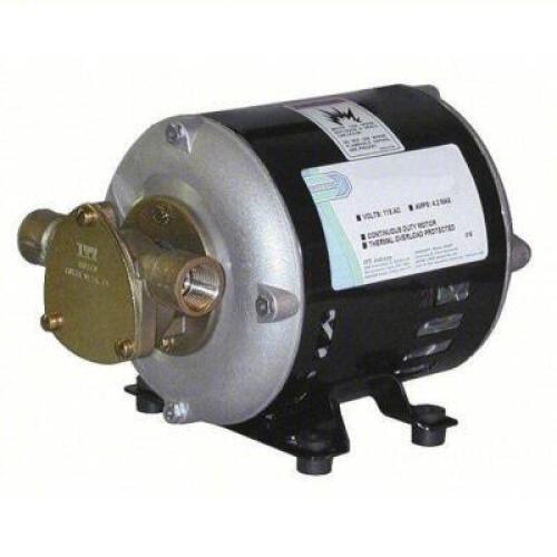 (1) VANE PUMP