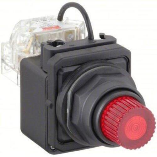 (6) PILOT LIGHT