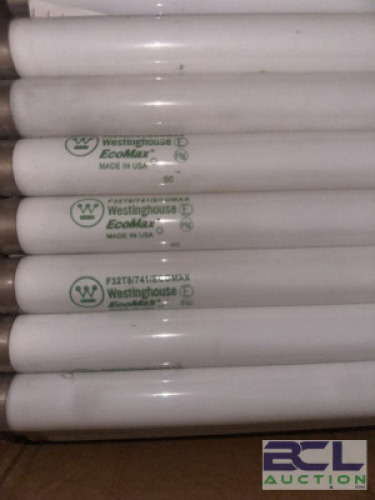 LARGE CASE OF LIGHT BULBS