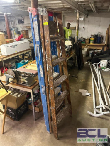 (2) - 8 FT. LADDERS