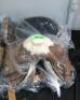 WESTERN BARREL RACING SHOW HORSE SADDLE WITH TACK SET - 6