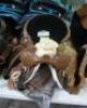 WESTERN BARREL RACING SHOW HORSE SADDLE WITH TACK SET - 10