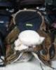 WESTERN BARREL RACING SHOW HORSE SADDLE WITH TACK SET - 9