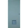 (1) STEEL DOOR