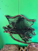 KUBA CLOTHS AND FISHING NETS FROM CONGO - 6