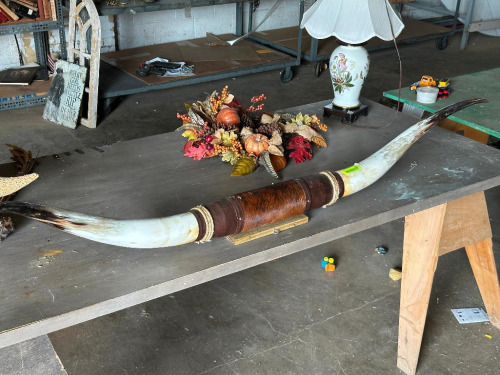 BULL HORNS