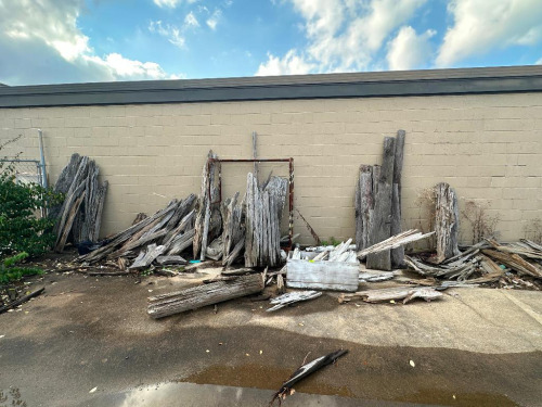 LARGE GROUP OF VINTAGE DRIFT WOOD