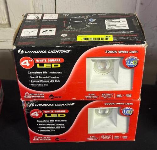 (2) - ASSORTED CELING LIGHTS