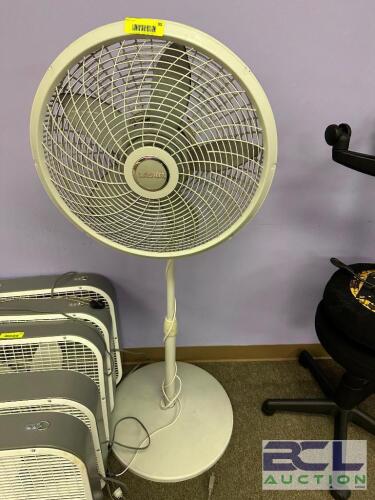 PEDESTAL FAN