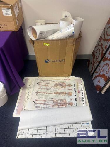 ASSORTED EDUCATIONAL POSTERS AND BODY CHARTS