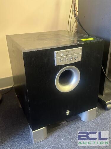 100 WATT ACTIVE SUBWOOFER
