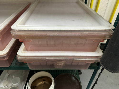 (2) LARGE SALAD INSERT CONTAINERS W/ LIDS.
