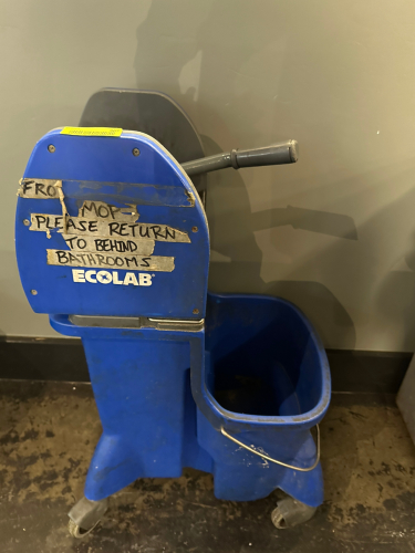 MOP BUCKET AND WRINGER