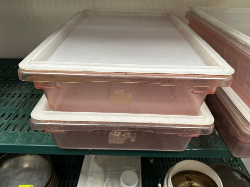 (2) LARGE SALAD INSERT CONTAINERS W/ LIDS.