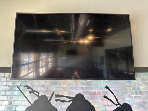 TVS ROKU 75" SMART TV WITH CEILING MOUNT.