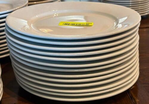 (12) - DINNER PLATES