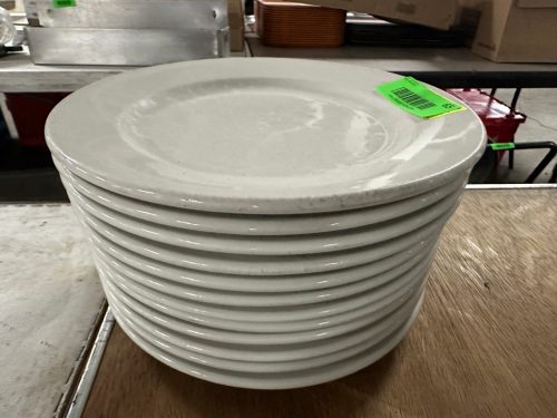 (12) 9" CHINA PLATES