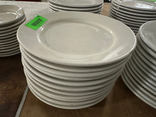 (12) 9" CHINA PLATES