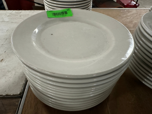 (12) 9" CHINA PLATES