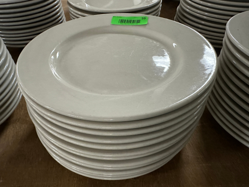 (12) 11" CHINA PLATES