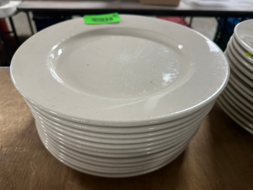 (12) 11" CHINA PLATES
