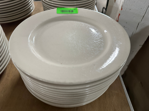 (12) 11" CHINA PLATES