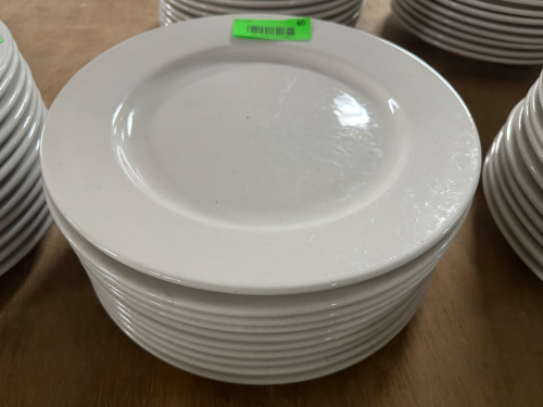 (12) 11" CHINA PLATES
