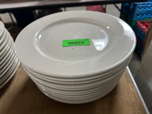 (12) 11" CHINA PLATES