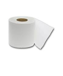 (10) ROLLS TOILET PAPER