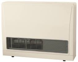 (1) DIRECT VENT WALL FURNACE