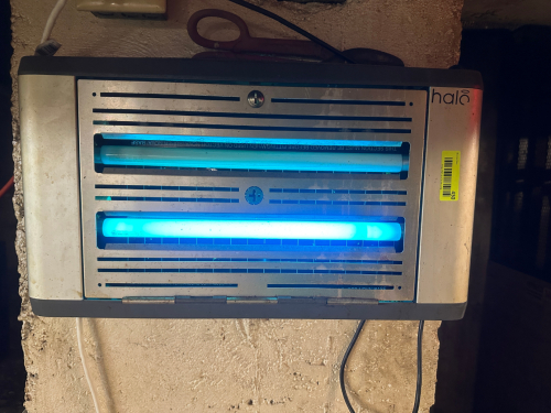 HALO WALL MOUNTED BUG LAMP