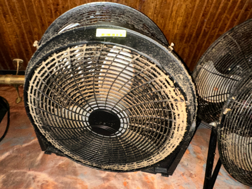 (2) 20" FLOOR FANS