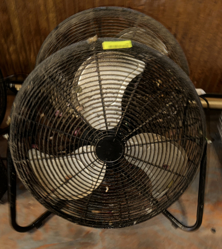 (2) 20" FLOOR FANS