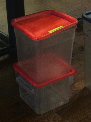 (2) 8 QT PLASTIC CONTAINERS W/ LIDS