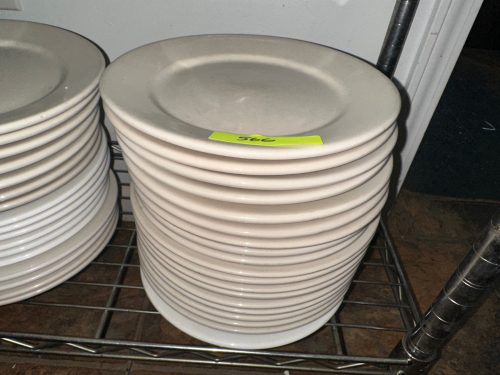 (12) 9" CHINA PLATES
