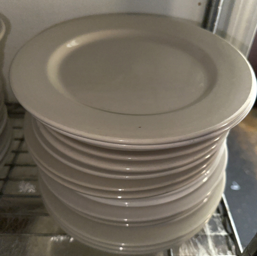 (12) 9" CHINA PLATES