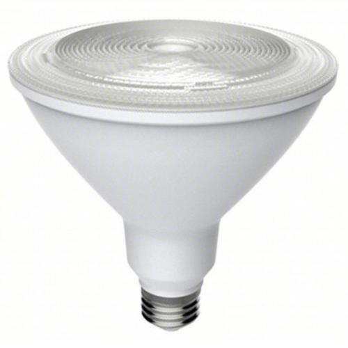 (4) COMPACT LED BULB
