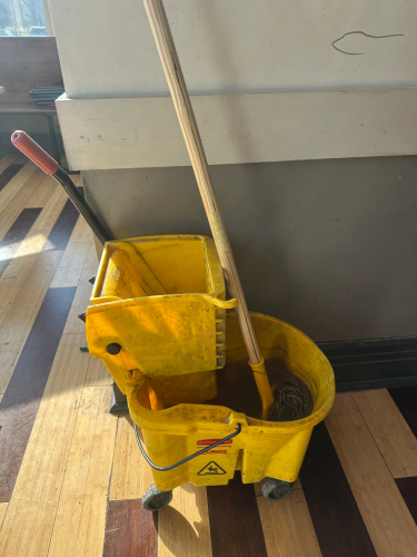 MOP BUCKET AND WRINGER